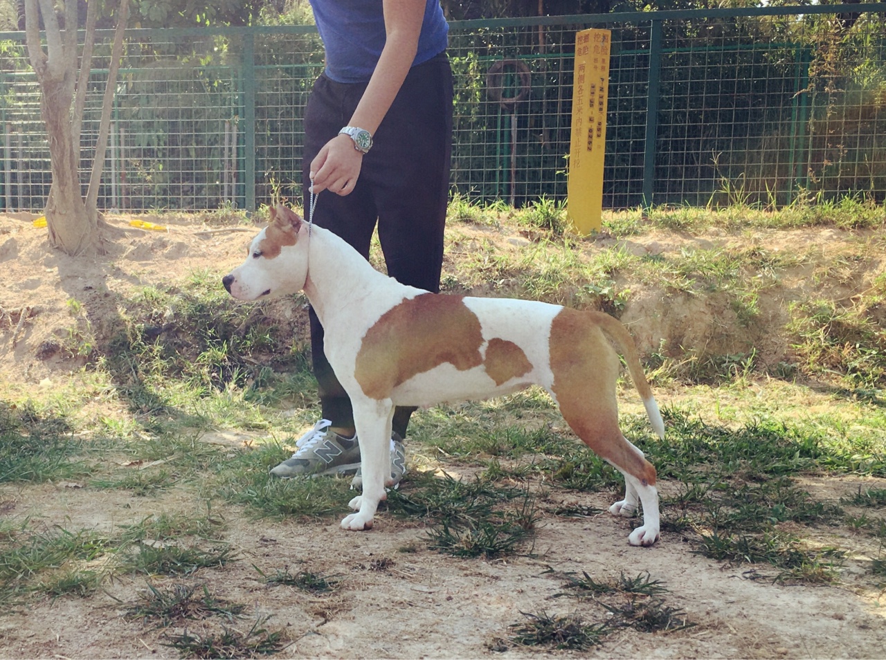 窈窕淑女,诠释精致