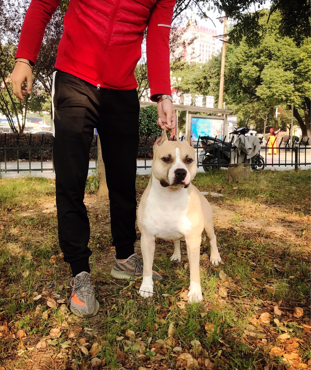 窈窕淑女,诠释精致