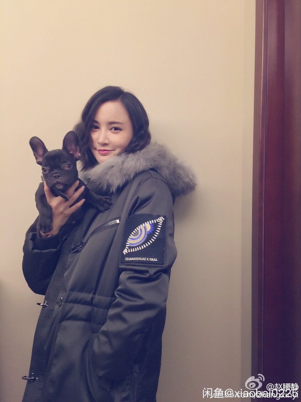 北京出售4个月大巧克力色小法斗