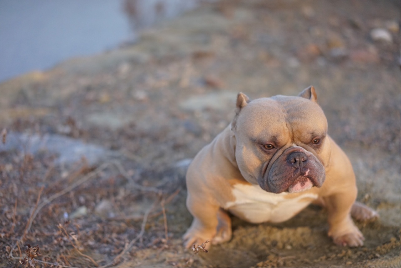 我家小斧头 恶霸玩家们 交个朋友