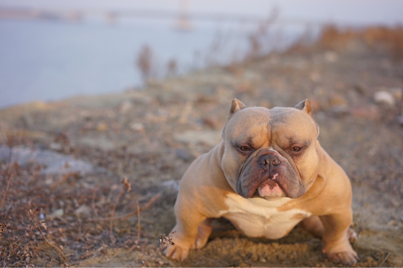 我家小斧头 恶霸玩家们 交个朋友