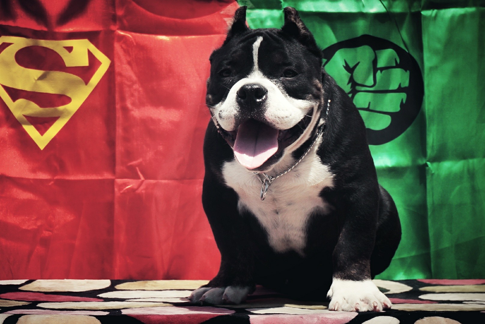 法官后代,顶级品质,都是小微体