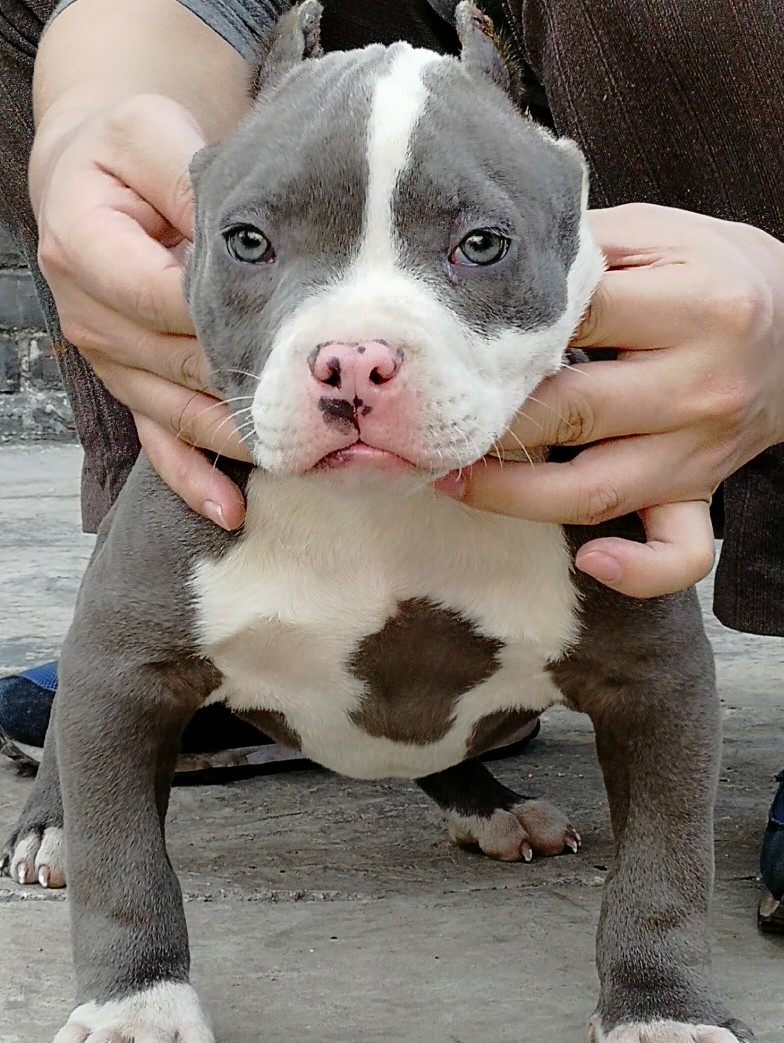 欢迎关注刚刚裁耳