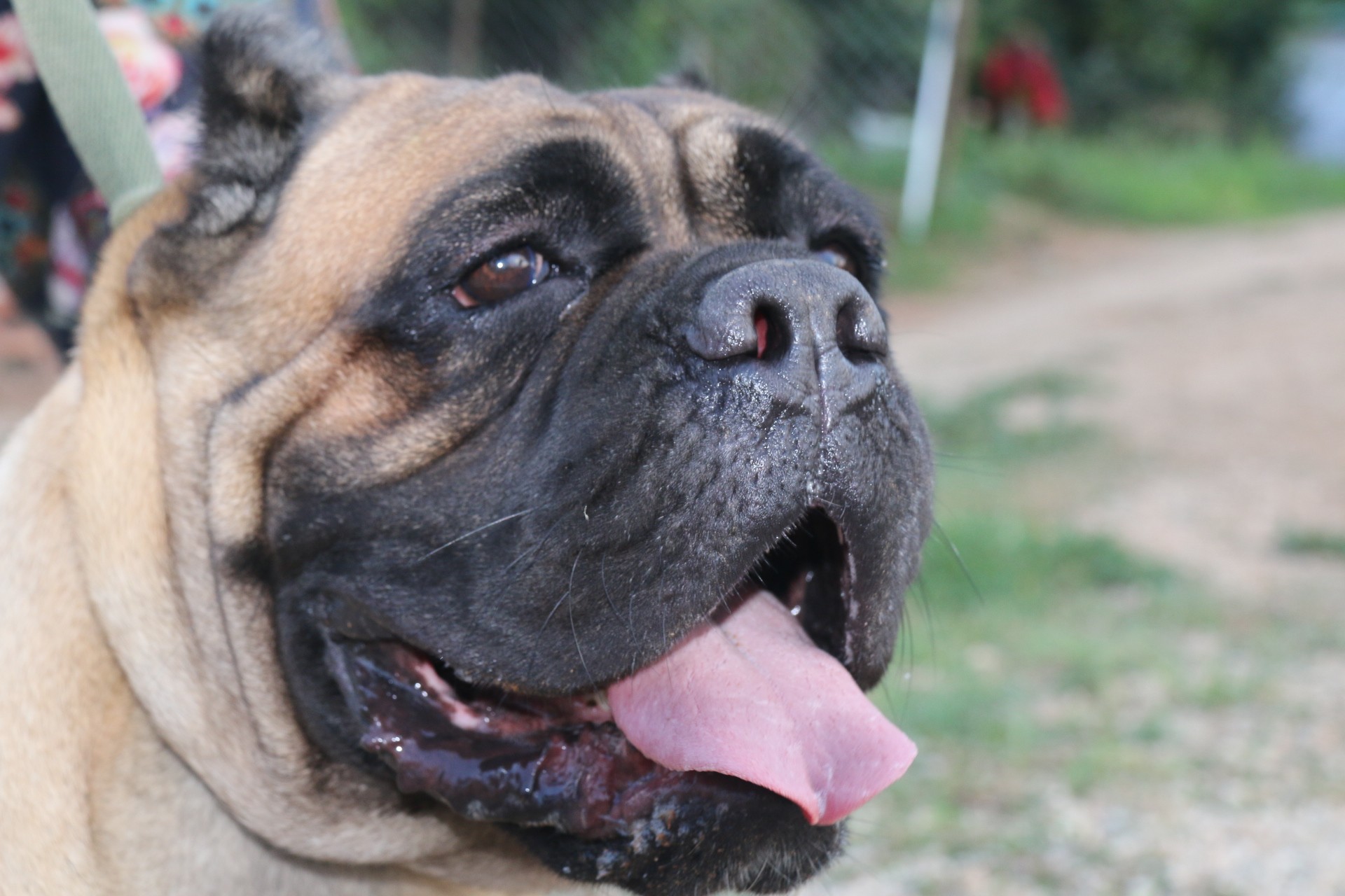 意大利卡斯罗-萨德