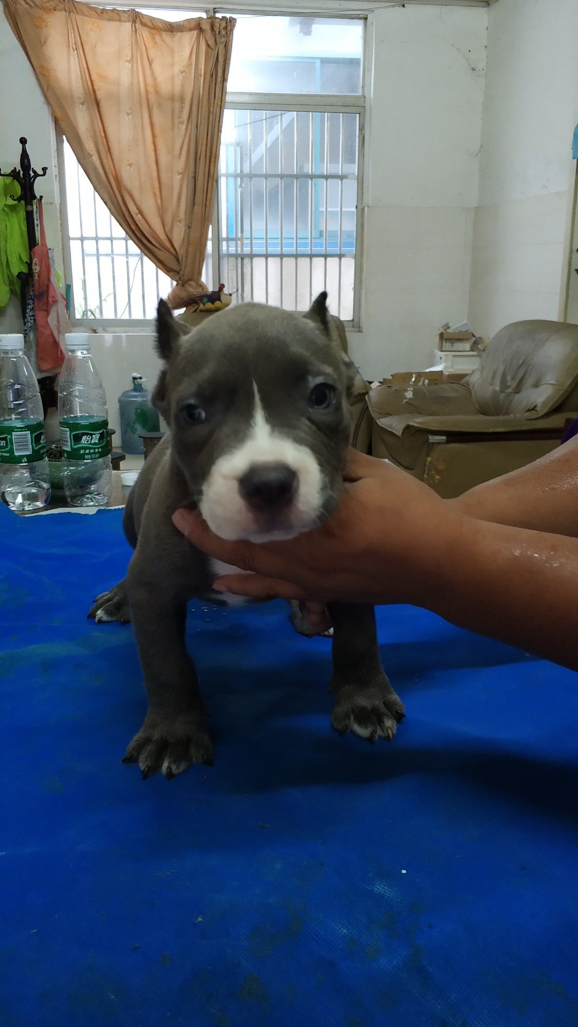 恶霸小时候萌萌哒