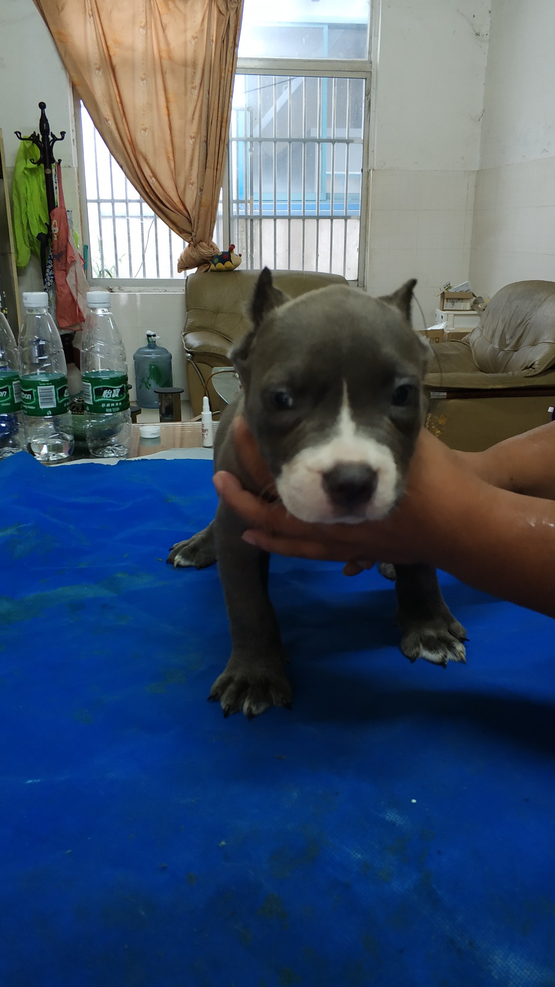 恶霸小时候萌萌哒