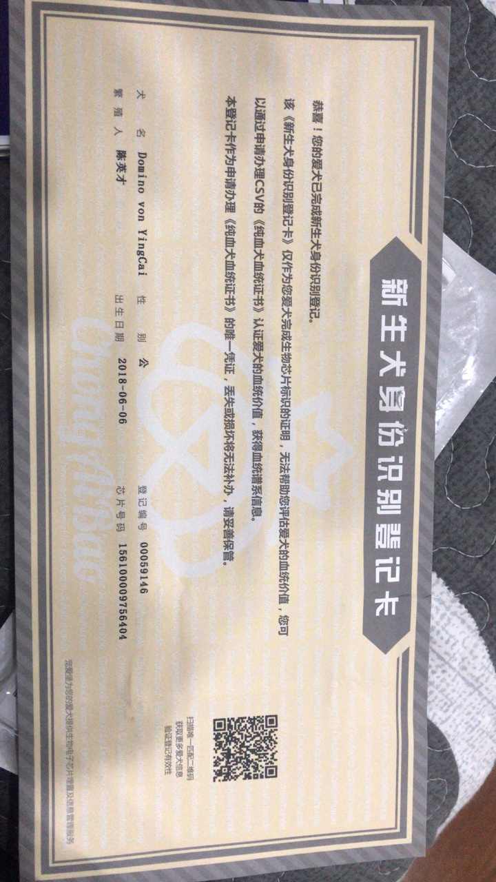 出售东德牧羊犬四个月大明码三千