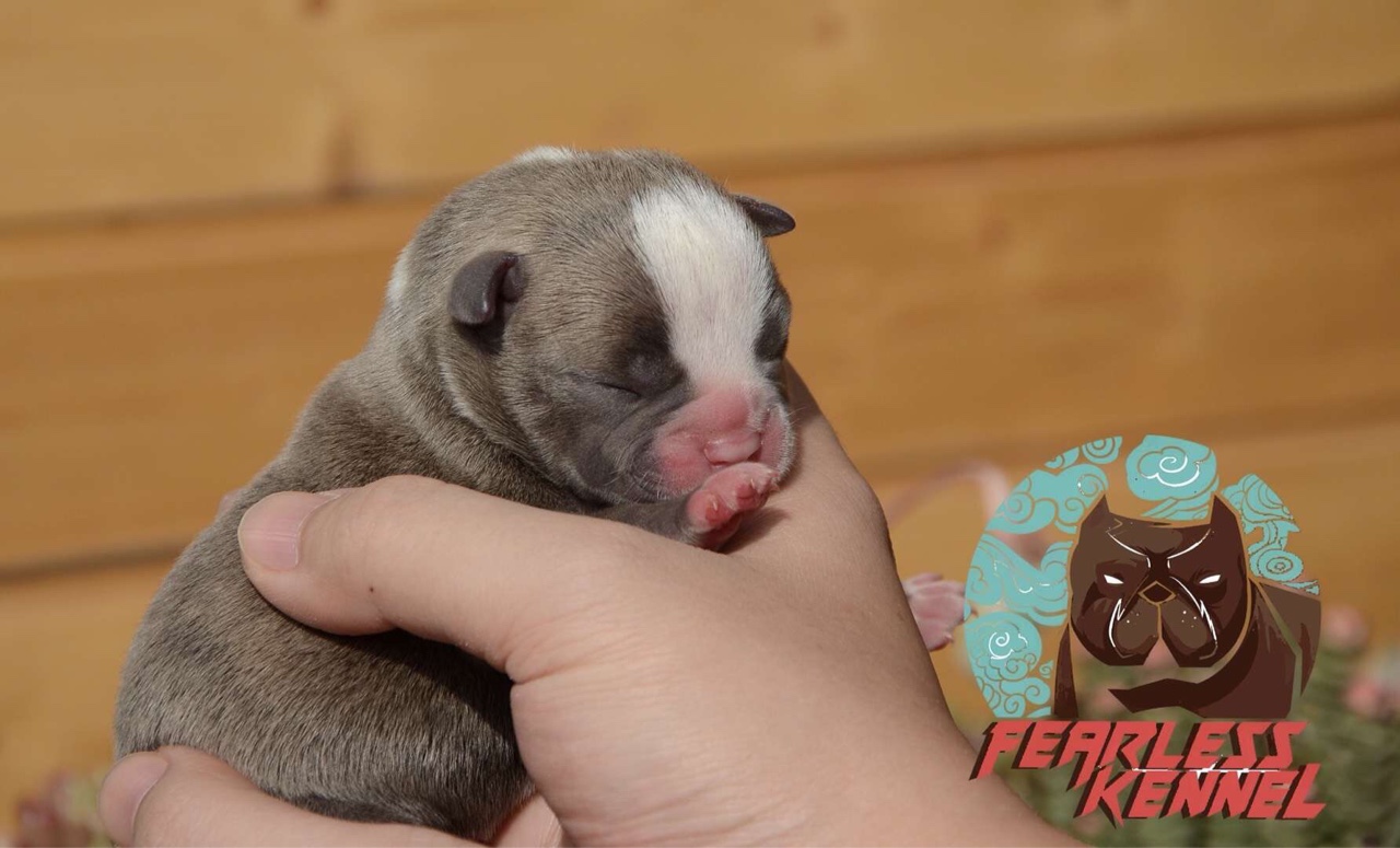 趁着申城难得的阳光明媚 给你们拍组出生写真