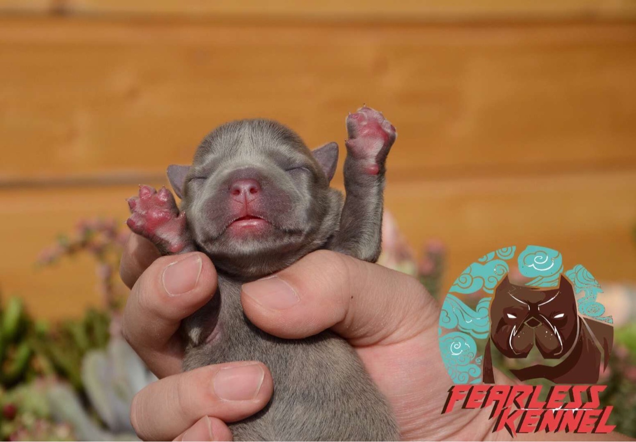 趁着申城难得的阳光明媚 给你们拍组出生写真