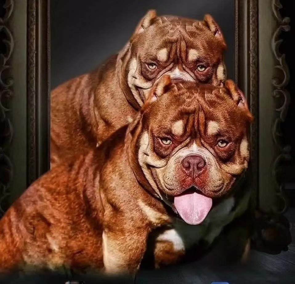 微体红三色恶霸种公财神