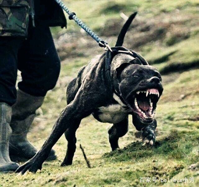 这什么体形谁有