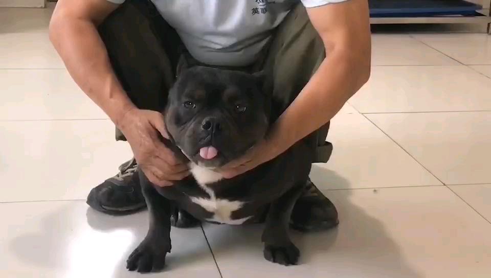 成年恶霸母法官孙女带证书出售