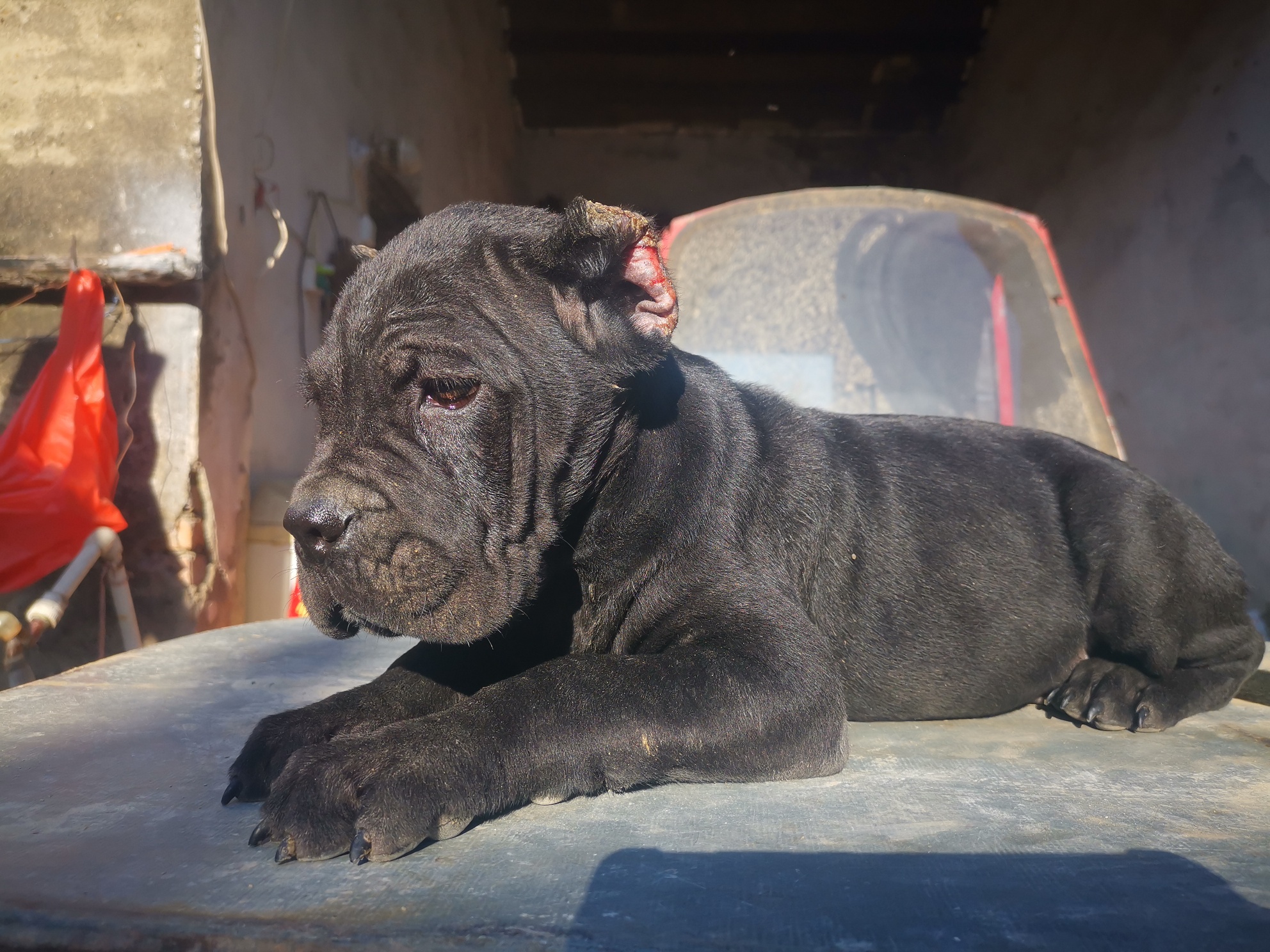 小卡出售,价格不贵支持包窝