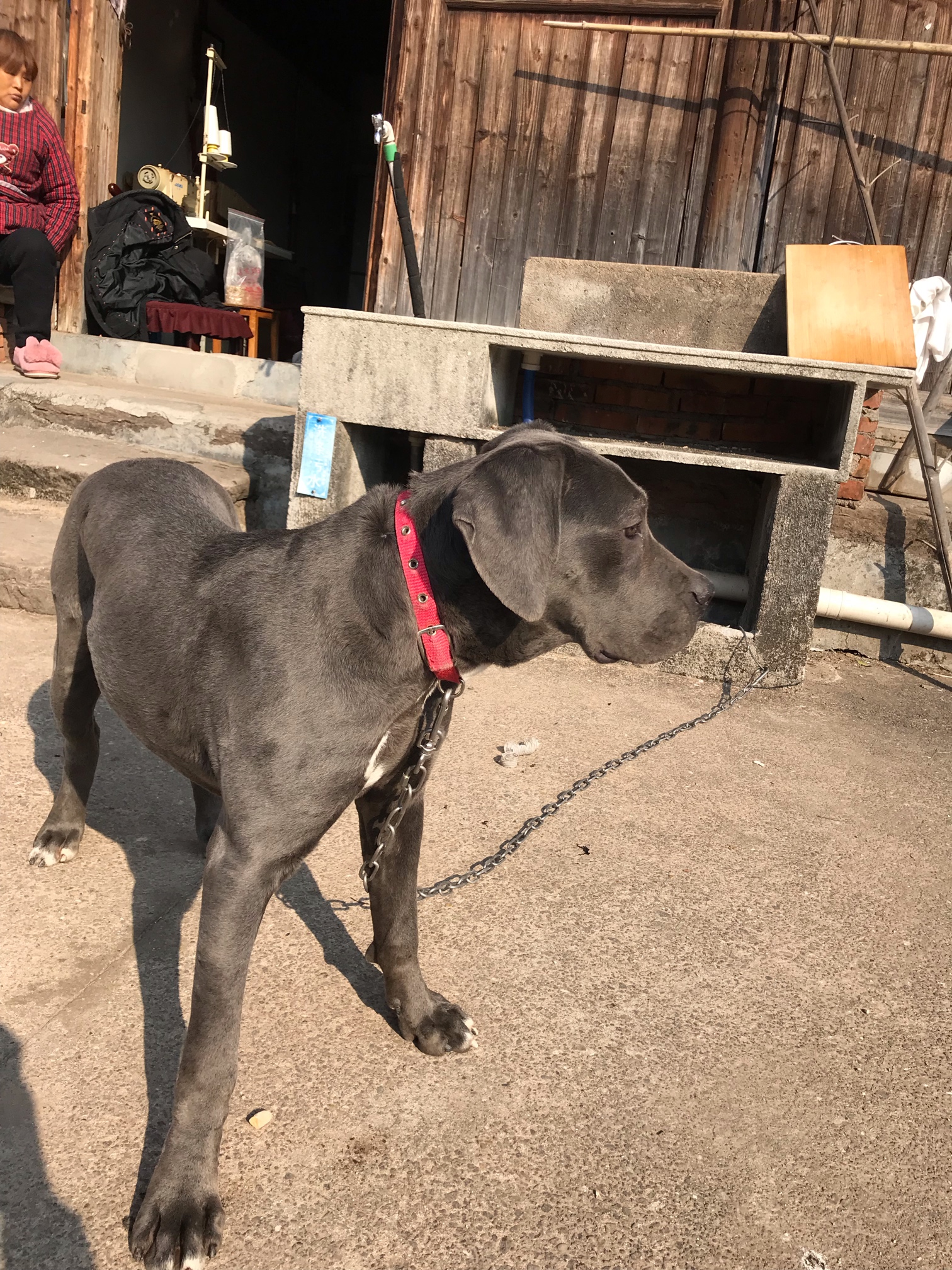 灰色.为什么有很多人说是蓝色呢?