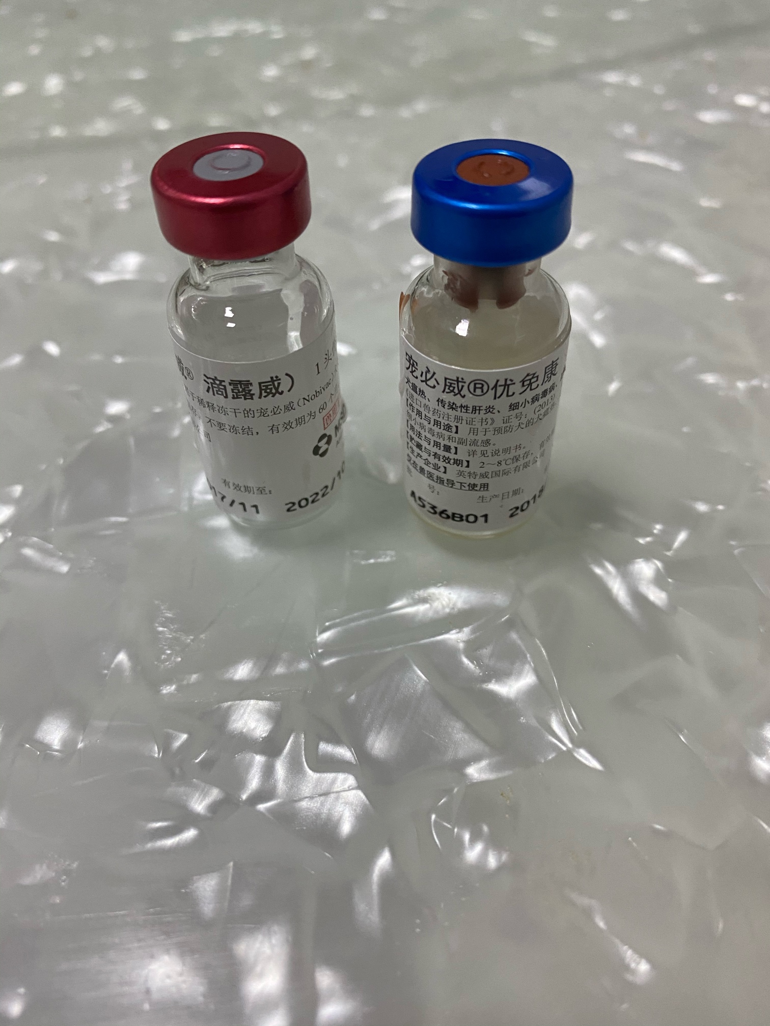 狂犬疫苗瓶子图片