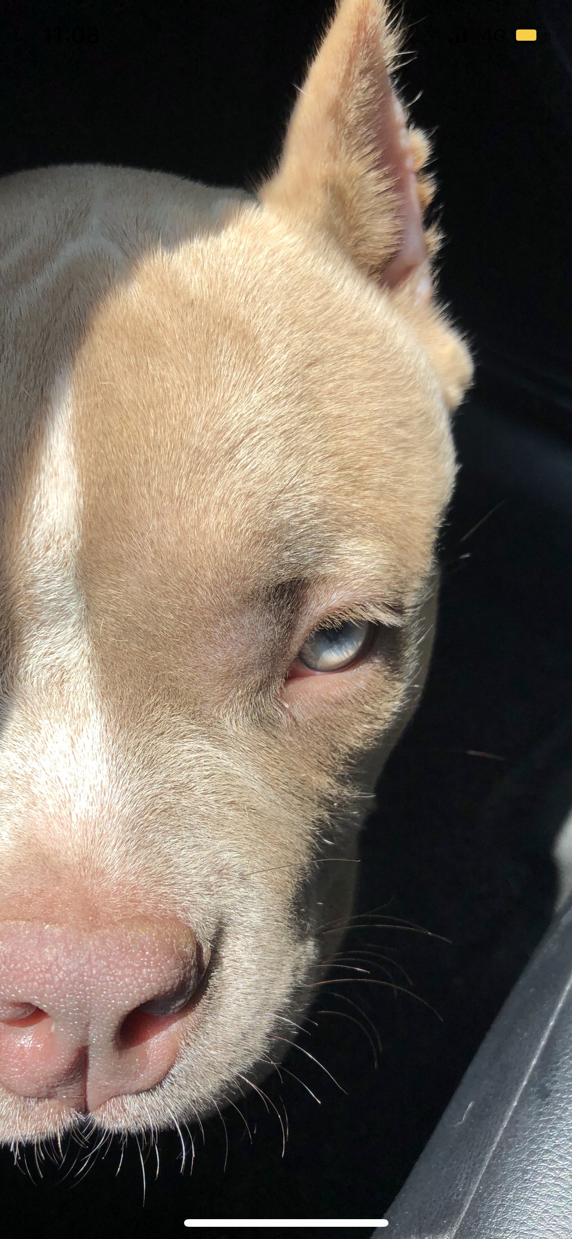 第一张眼神有点狠,做了一段时间屏保