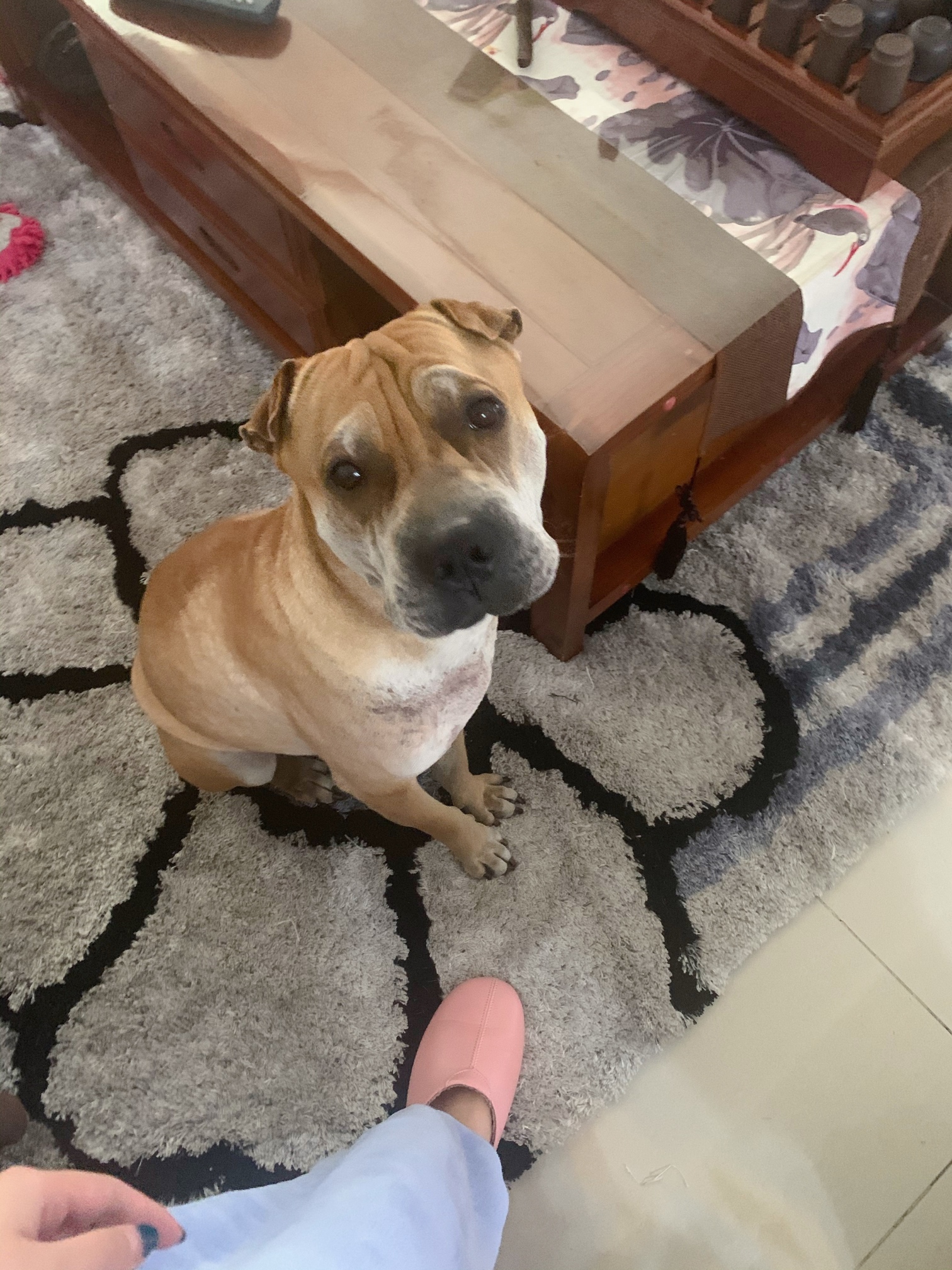 骨嘴沙皮真心帅!