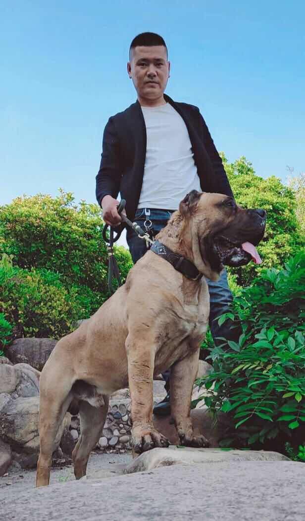 大爱最是加纳利