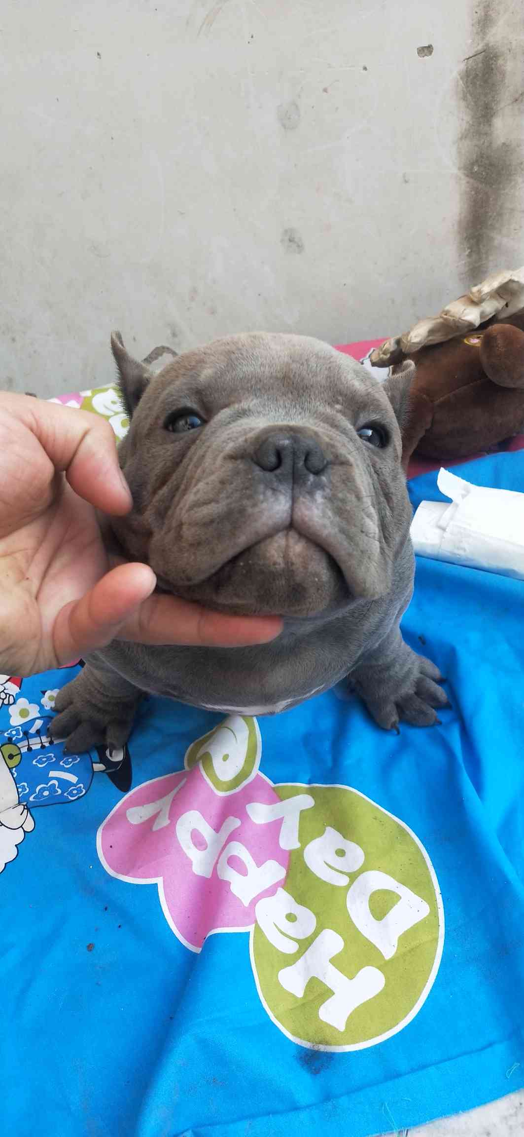 伯爵回血伯爵女儿