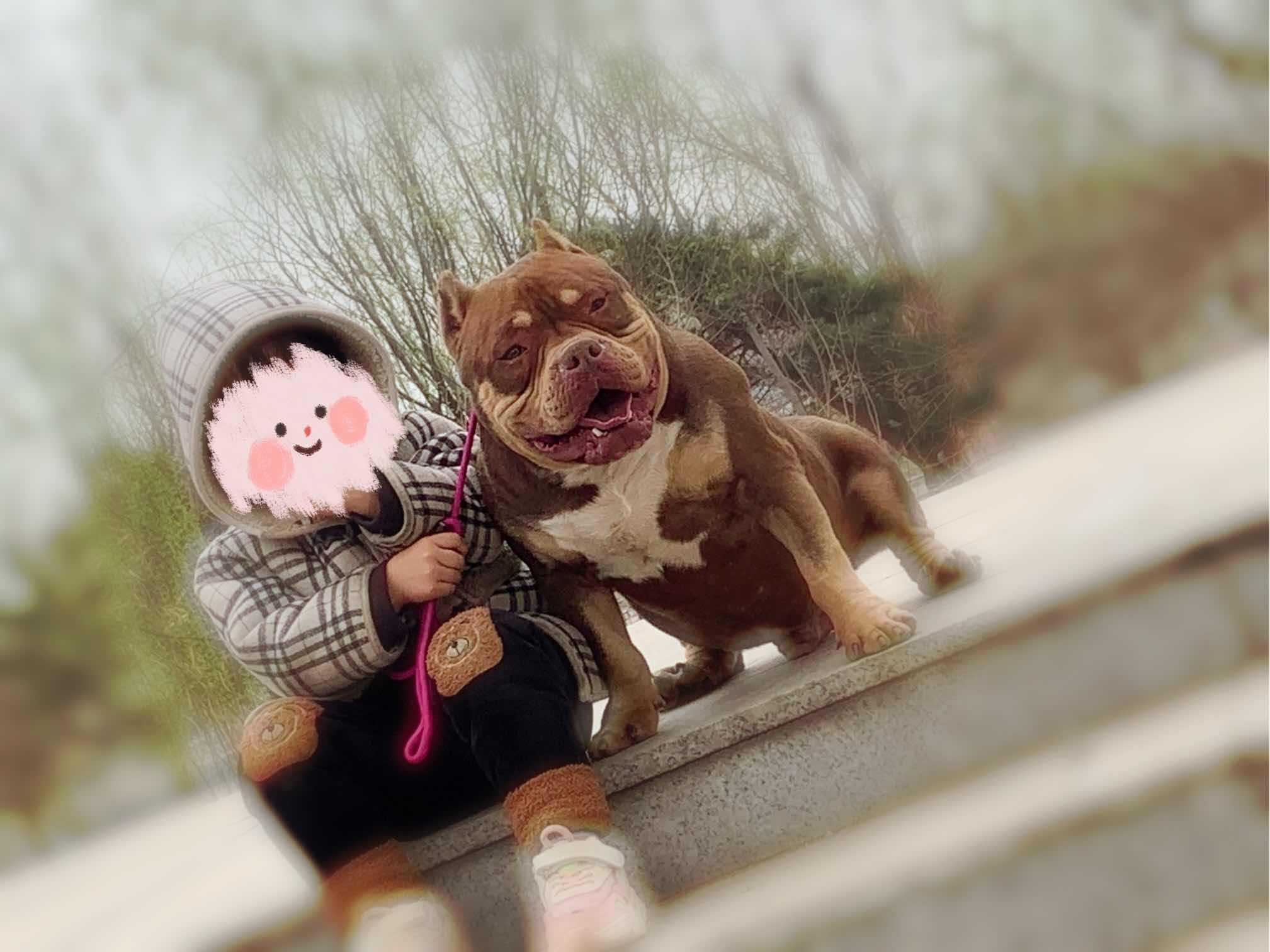 红魔儿子 免费配种名额一个