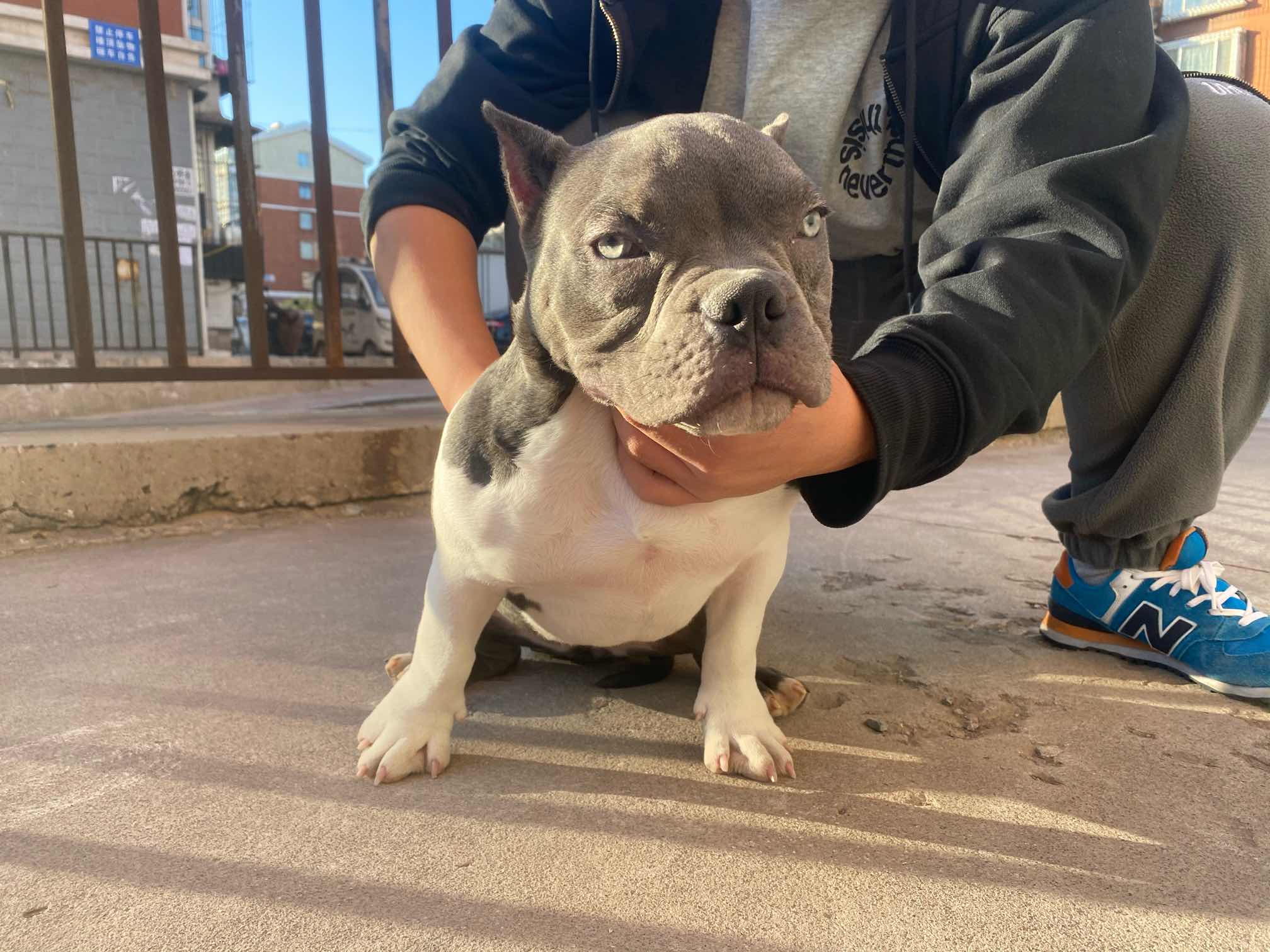 个人玩家没精力养了,喜欢的联系吧