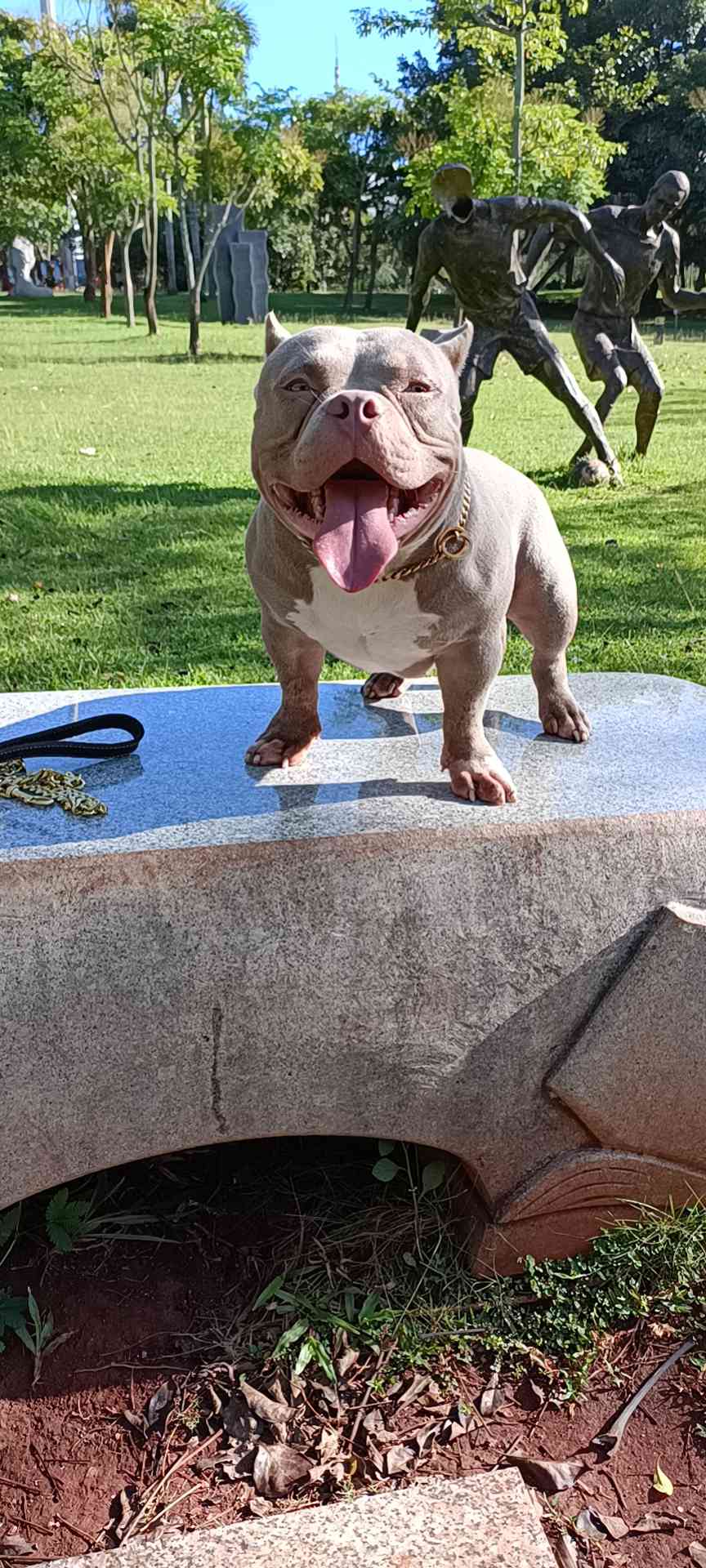 红魔儿子十个月