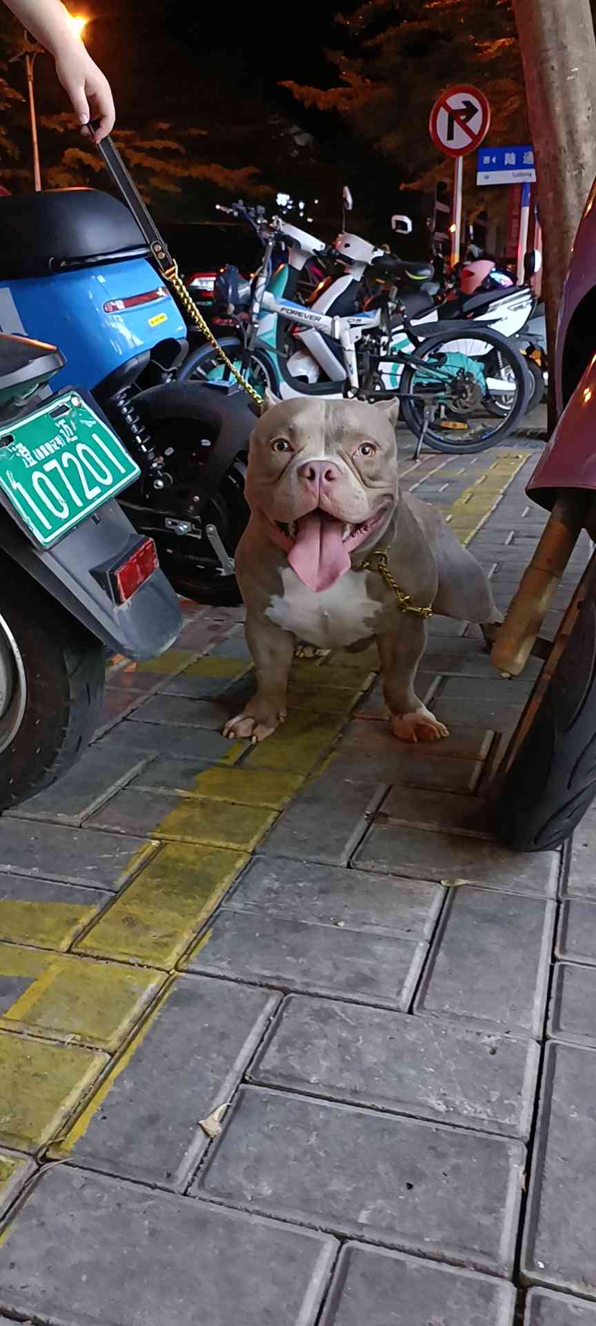 红魔儿子十个月