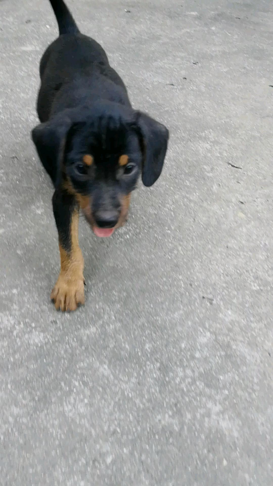 2月公铁包金太仓喜欢的来